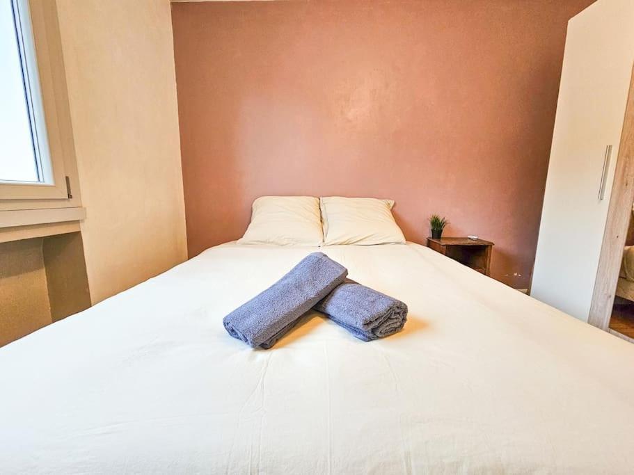 Le Bergson 3 Chambres Stationnement Gratuit Saint-Etienne  Extérieur photo